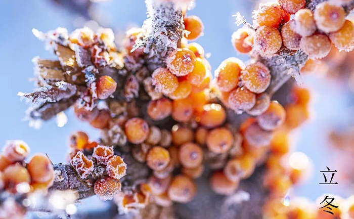 2022年11月7日，立冬至